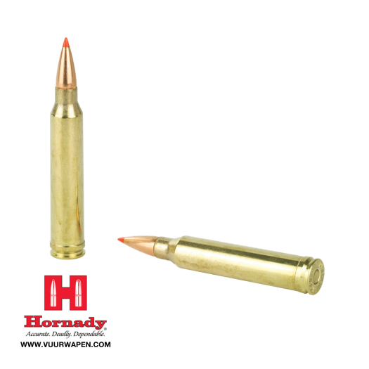 Hornady Superformance 300 Win Mag 180 Grain SST Ammo 82193