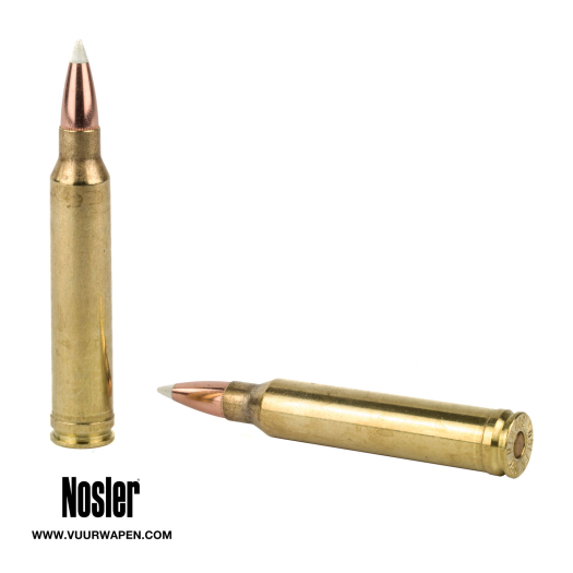 Nosler Trophy Grade 300 Win Mag 180 Grain AccuBond Ammo 6005