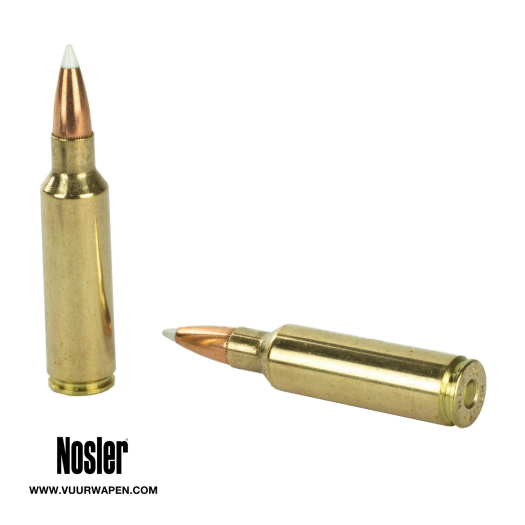Nosler Trophy Grade 300 WSM 180 GR AccuBond Ammo